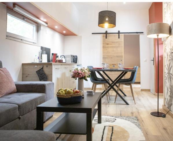 La Peniche De Fabrice Avec Jacuzzi Privatif Apartman Strasbourg Szoba fotó